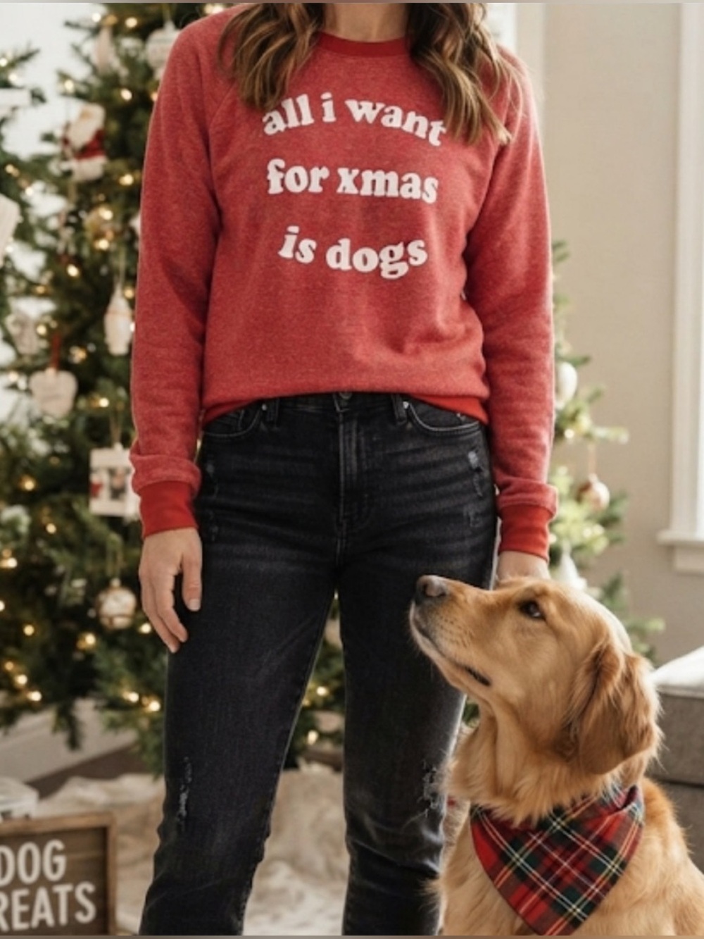 Grayson/Threads Christmas Dogs Sweatshirt sz Sm